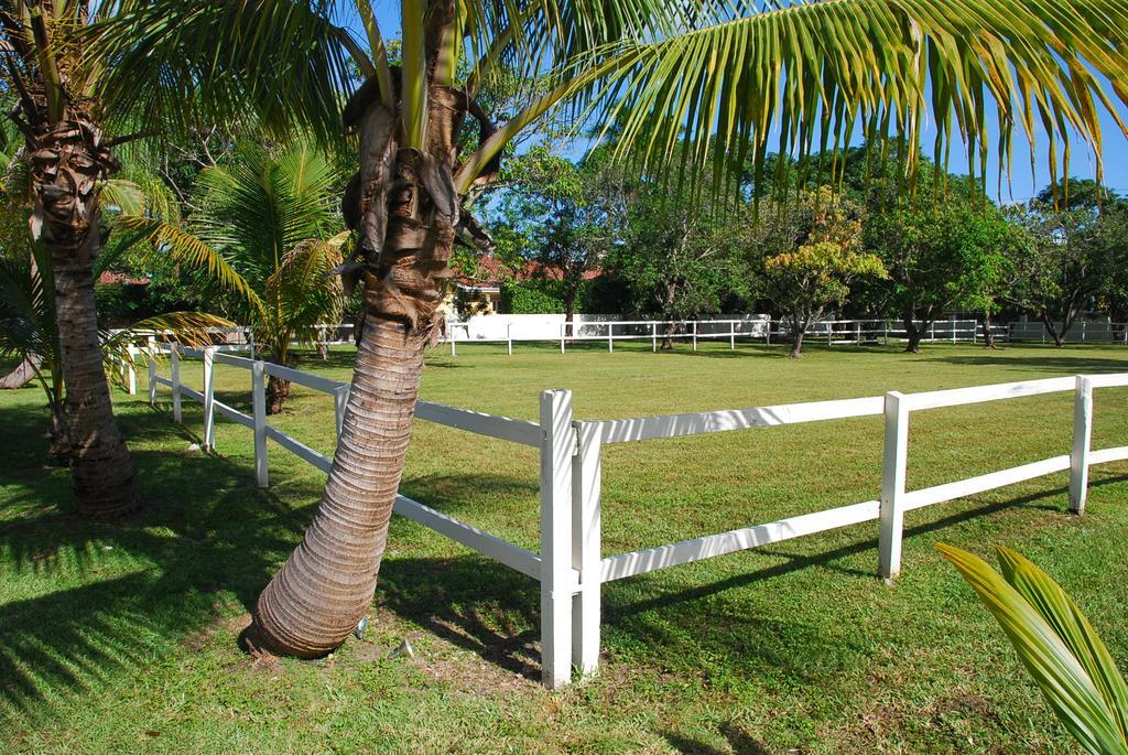 La Finca Miami Zewnętrze zdjęcie