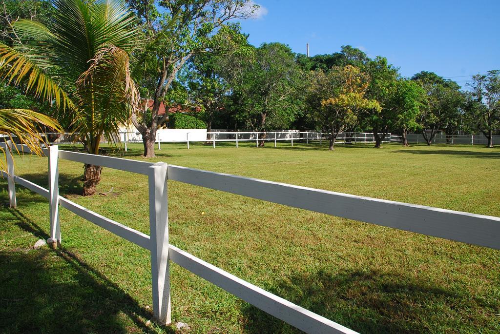 La Finca Miami Zewnętrze zdjęcie